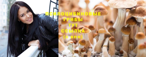 дмт Бугульма